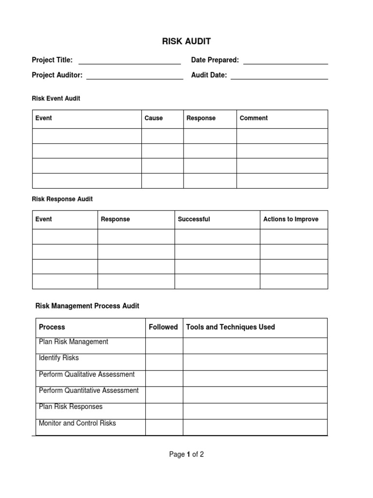 Comprehensive Risk Audit Template | PDF