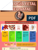 Fisiolog Fetal y Neonatal 1