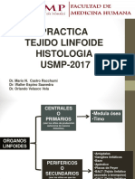 Usmp Practica - Tejidos Linfoides -2017