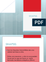 Sinapsis.pdf
