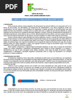 Campo Magnetico e Forca Magnetica