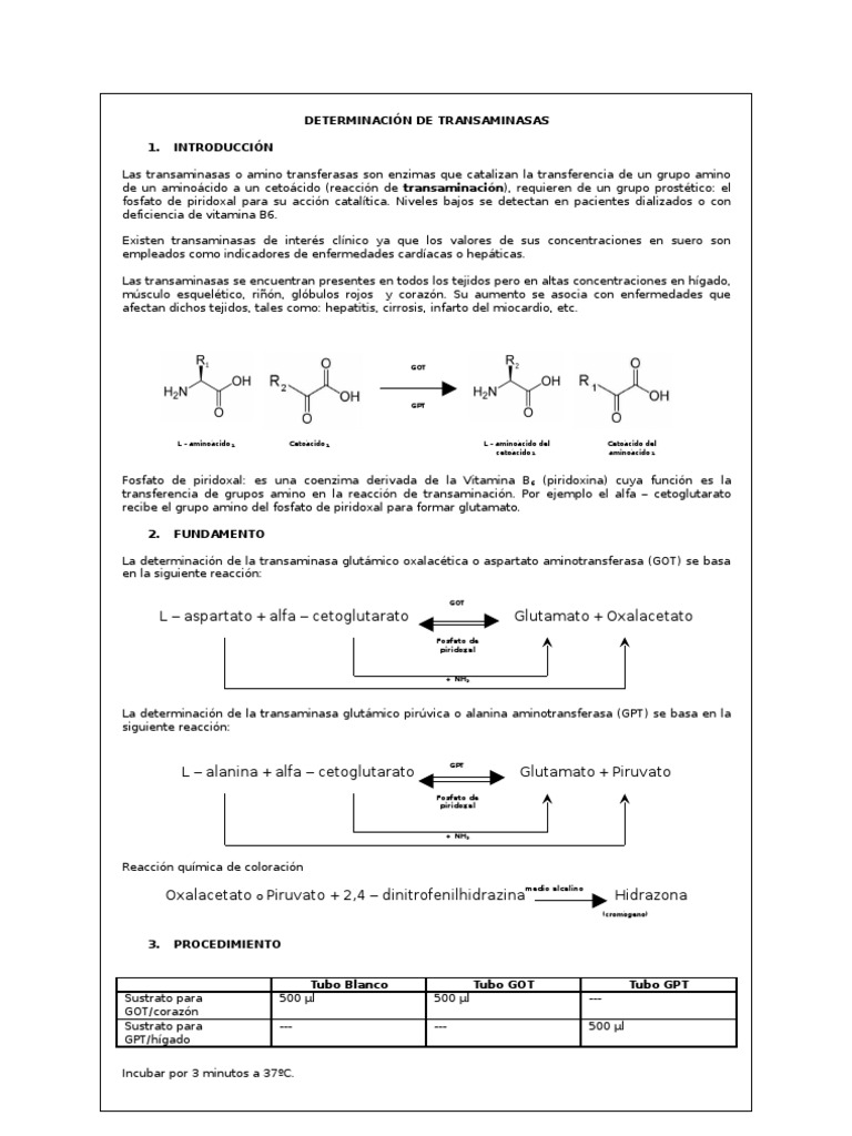 Determinación de Transaminasas en Suero | PDF | Transaminasa | Hígado