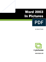 Word 2003 in Pictures: by Sarah Fowlie