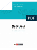 curriculo nacional_perfil-fundamentos.pdf