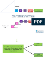 OVA Procesamiento Visual (1) .PPSX