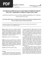 Enterobacterias isoladas da mucosa oral de Tropidurus torquatus.pdf