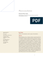 Phytoremediation: Elizabeth Pilon-Smits