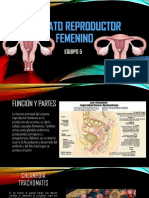 Sistema reproductor femenino y principales infecciones de transmisión sexual