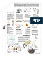 Seguridad Vial - Primeros Auxilios PDF