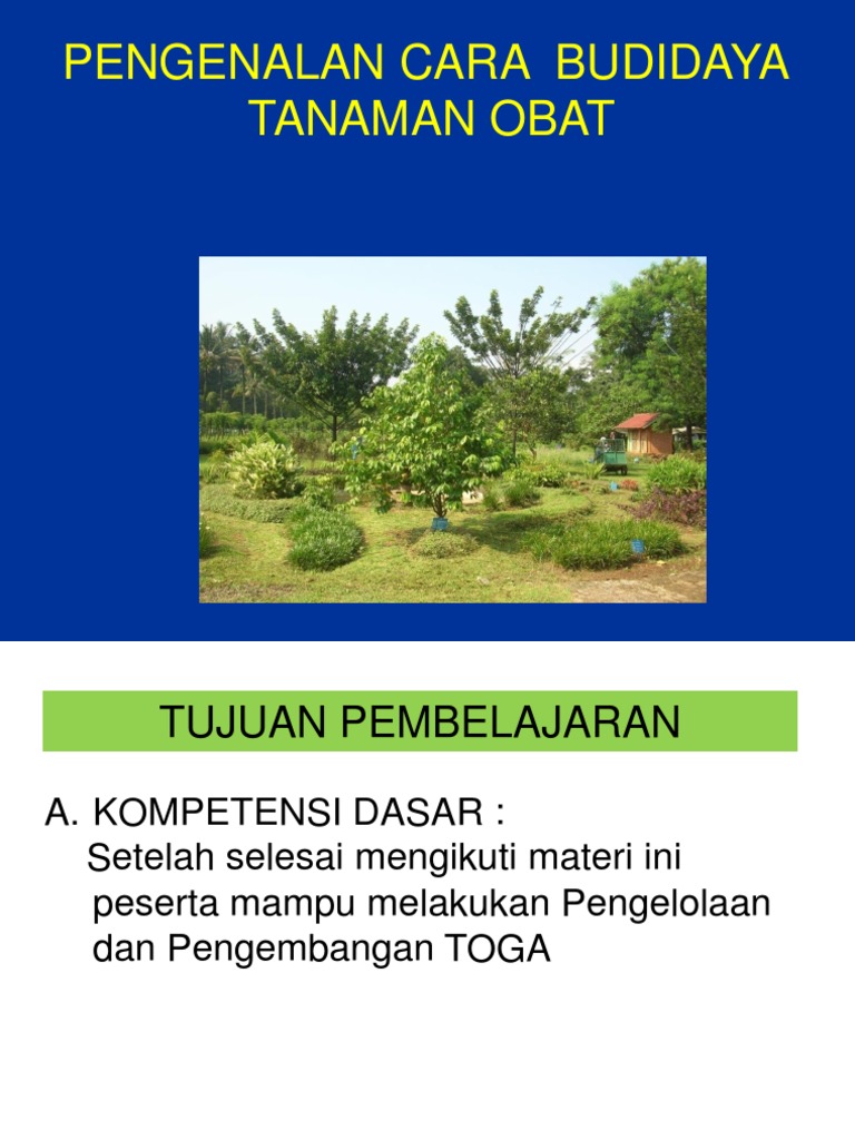 24++ Contoh soal budidaya tanaman obat kls 7 ideas