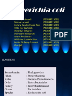 Kelompok A Bakteriologi e Coli