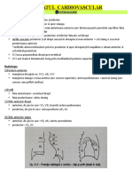 Aparat Cardiovascular Complet