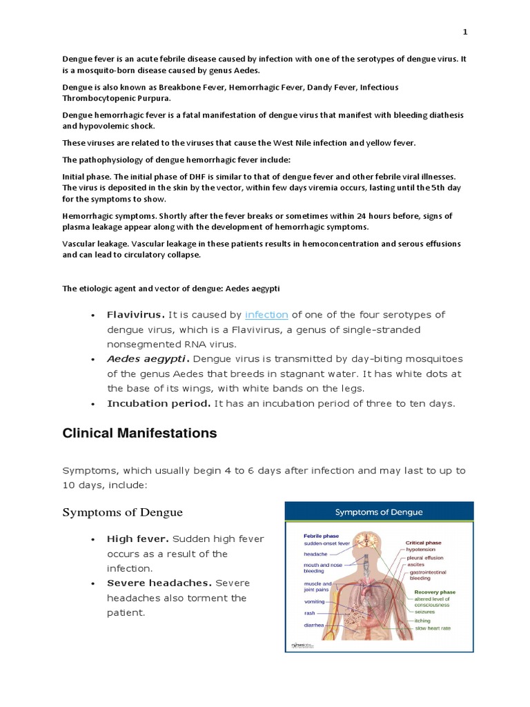Dengue Notes | PDF | Medicine | Clinical Medicine