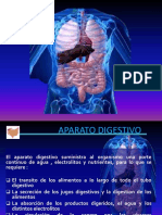 HEMORRAGIA DIGESTIVA  SUPERIOR.pptx