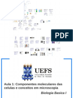 Slides Aula Componentes Moleculares e Microscopia