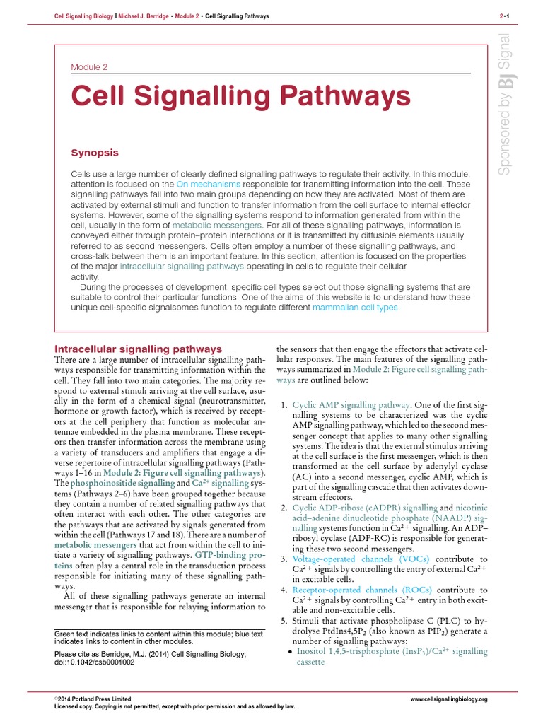 002 Cell Signalling Pathways | PDF | Signal Transduction | Cell Signaling