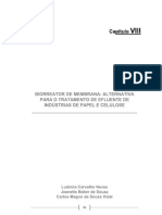 Livro - MBR Alternativa Para o Tratamento de Efluente de Industrias de Papel e Celulose