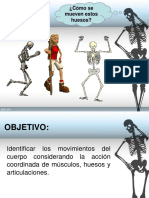 Articulaciones.ppt