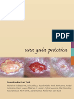 Cuidado Heridas Cronicas Una Guia Practica 2010.pdf