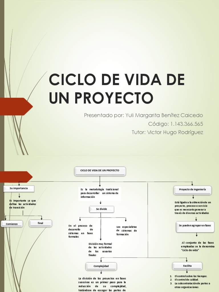 Importancia y fases del ciclo de vida de un proyecto | PDF | Proceso de ...