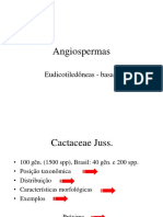 Angiospermas: Cactaceae e suas características