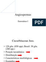 Aula 4 - Eudicotiledôneas Asterídeas