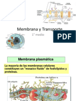 Membrana y Transporte (1)