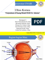 PKRS Ulkus Kornea R. Mata