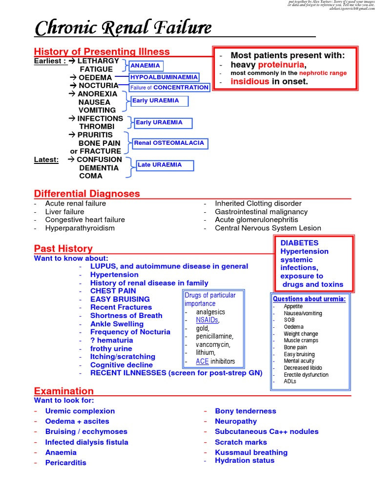 Chronic Glomerulonephritis in Detail | PDF | Renal Function | Kidney