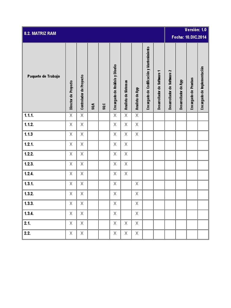 Matriz RAM de Responsabilidades y Riesgos | PDF | Publicación ...