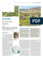 Atacama (Chile). El desierto florido (ABC VIAJAR 22 Septiembre 2017)