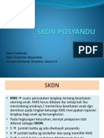 SKDN Posyandu