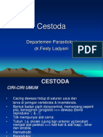 Cestoda