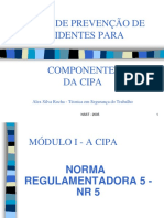 Curso de CIPA 001