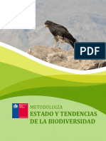 Metodología PDF