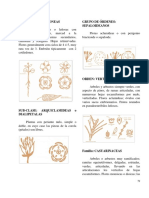 1606091437.DICOTILEDONEAS Parte - I PDF