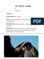 Aguila.pdf