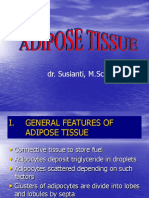Adipose Tissue-Ss