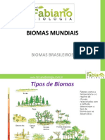 Biomas Fabiano