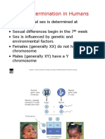 Diferensiasi Seks PDF