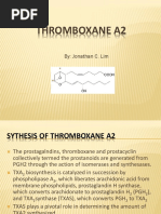 Thromboxane-A2