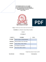 Certificado Fidiciudario PDF