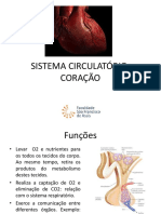 Coração e Sistema Circulatório.pdf