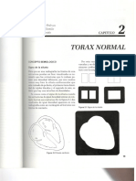 Rx Torax PDF Camargo