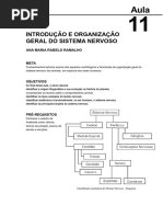 Relatorio Aula Prática