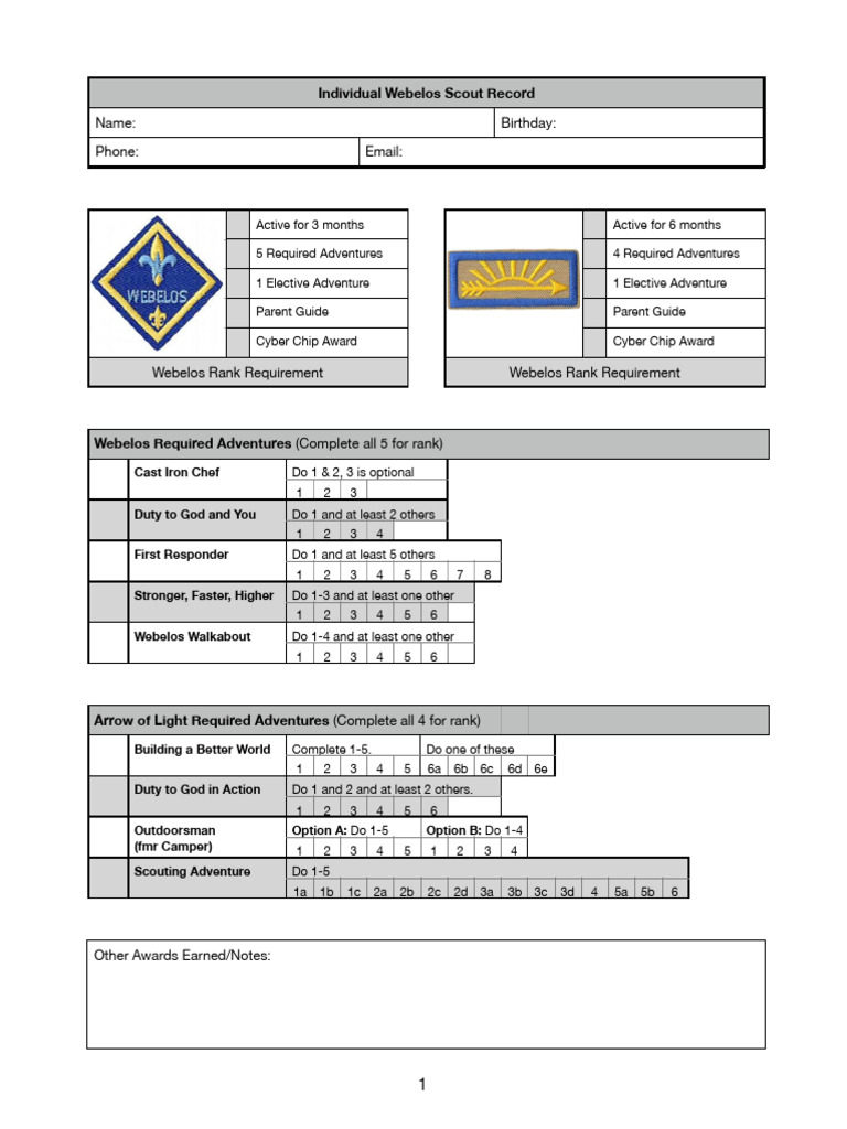 Webelos Tracking Patriotic And National Organizations Chartered Boy