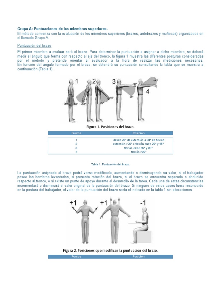 Evaluación del Método RULA en Miembros | PDF | Factores humanos y ...