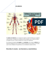 Sistema circulatorio define