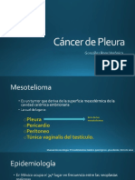 Mesotelioma