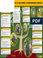 Biodiversidad PDF